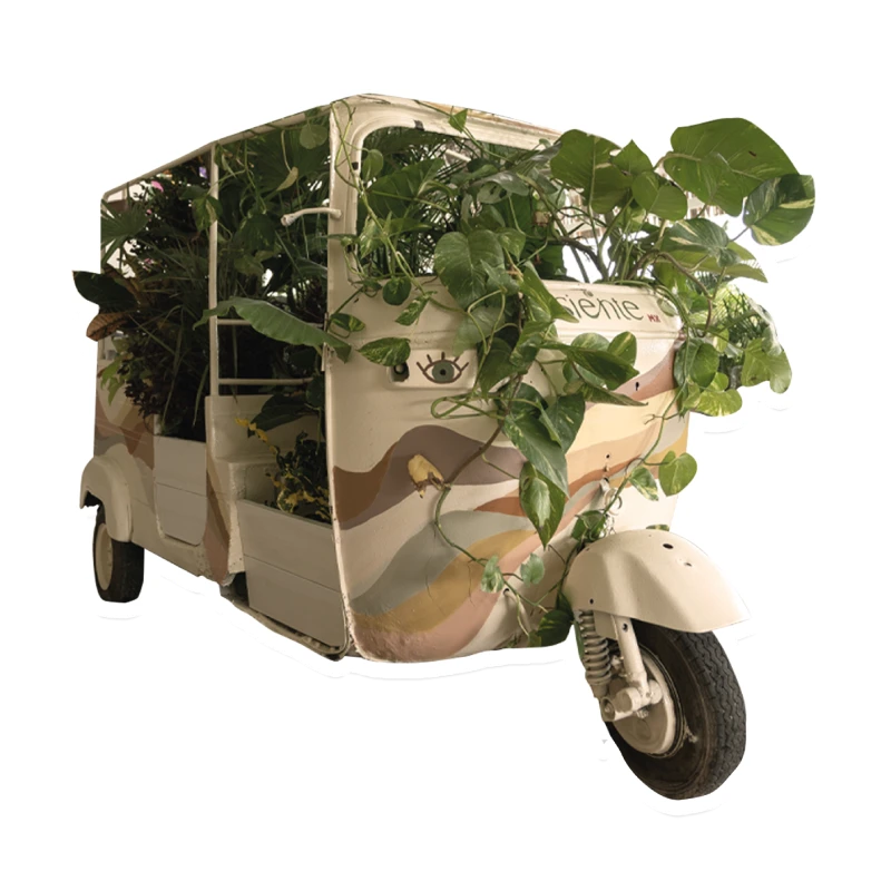 Tuktuk