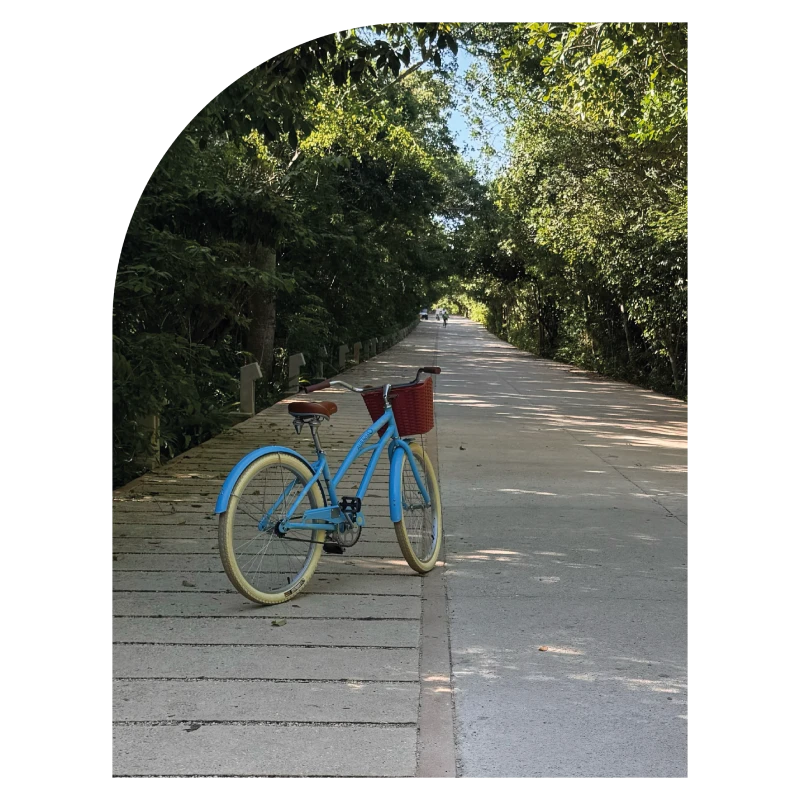 Bicicletas