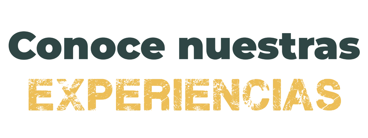 Conoce Nuestras Experiencias