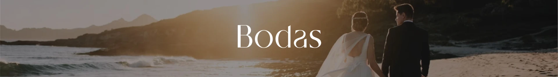 Bodas Banner