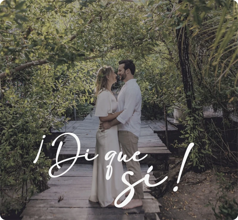 ¡Di que sí!